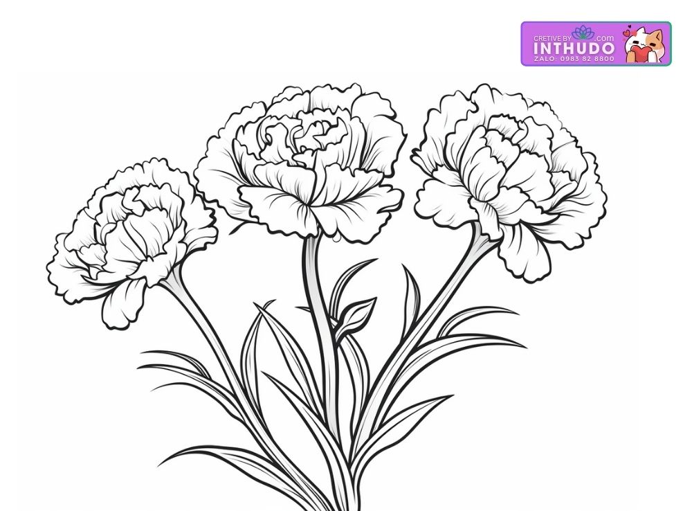 Tranh tô màu hình hoa cẩm chướng